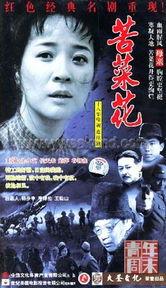 国产盗取视频中文,盗取中文内容背后的黑色利益链