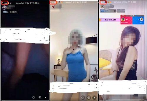 成人鲁丝视频,揭秘成人世界的真实面貌